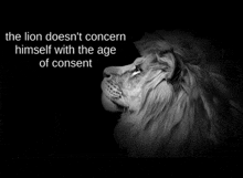 a black and white photo of a lion with the words " the lion doesn 't concern himself with the age of consent "
