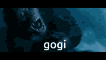 Gogi GIF - Gogi GIFs