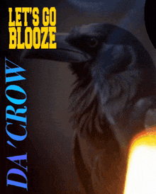 a poster with a crow on it that says let 's go blooze