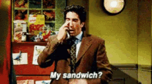Ross My Sandwich GIF - Ross My Sandwich Friends GIFs