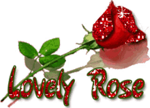 lovely rose sparkle red rose
