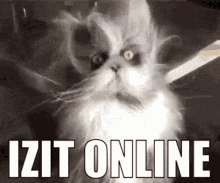 Izit Online Izit GIF - Izit Online Izit Toy Graffiti GIFs