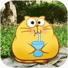 Drink Water Cat Drink GIF - Drink Water Cat Drink Dwink Water GIFs