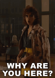 Why Are You Here Curious GIF - Why Are You Here Curious Asking GIFs