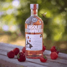 strawberry absolute