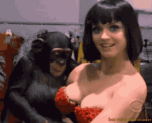 Excited Monkey GIF - Excited Monkey Beauty GIFs