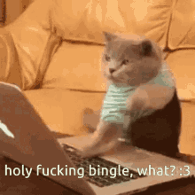 Bingle Cat GIF