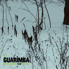Guarimba Animals GIF - Guarimba Animals Snow GIFs