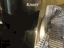 Knorr Soup GIF - Knorr Soup Sorian Fappel GIFs