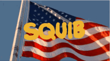 squib america flag squib flag president biden