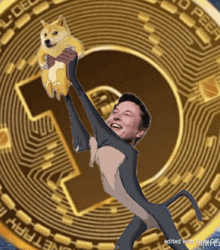 Doge Win GIF - Doge Win Elon Musk GIFs