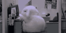Trying To Stay Awake At Work GIF - Awake Cute Bunny GIFs