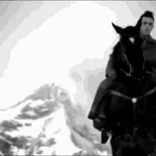 Robbie Williams GIF - Robbie Williams Horse GIFs
