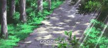 Anime Forest GIF - Anime Forest Scenery GIFs