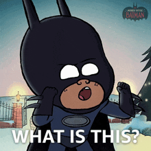 What Is This Damian Wayne GIF - What Is This Damian Wayne Merry Little Batman GIFs