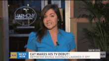 Cat Photo Bombing A Reporter... Like A Boss.. GIF - Cats News Debutante GIFs