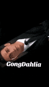 gongdahlia is written on a pink background