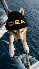 a dog wearing a hat that says dea on it