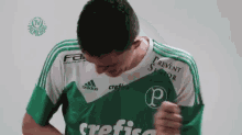 Torcendo Palmeiras GIF - Palmeiras Football Player GIFs