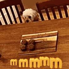 a small white dog laying on a wooden table next to a sign that says mmmmm