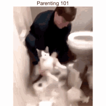 parenting101 cat toilet paper cleanup forced