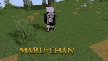 Maruchan Supervivientes Minecraft GIF