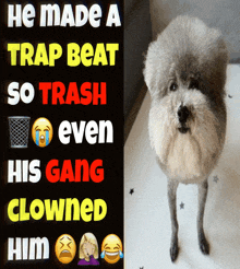 a poster that says he made a trap beat so trash even his gang clowns him