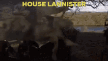 Lannister Got GIF - Lannister Got Game Of Thrones GIFs