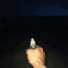 a person is pointing a gun at a bird in the night sky .