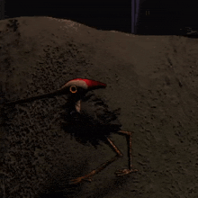 a bird with a long beak and a red hat is walking on the ground