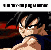 Rule 162 No GIF