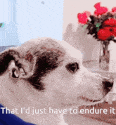 a dog with the words that i 'd just have to endure it