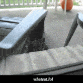What Whatcat GIF - What Whatcat Say What GIFs