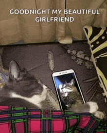 a cat laying on a bed looking at a cell phone with the words goodnight my beautiful girlfriend above it