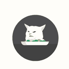saladcat cat