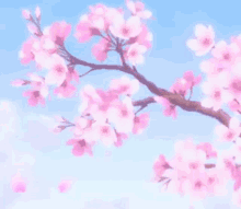 Sakura GIF