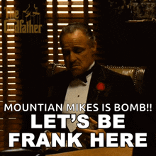 Lets Be Frank Here Don Vito Corleone GIF - Lets Be Frank Here Don Vito Corleone Marlon Brando GIFs