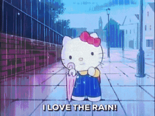 cat in the rain setting