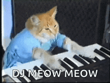 Cat Playing Piano Funny GIF