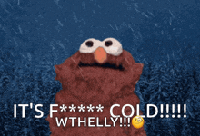 elmo is standing in the rain with the words it 's f *** cold wthally