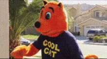 Cool Cat GIF - Cool Cat Derek GIFs