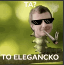 Ta To Elegancko GIF - Ta To Elegancko GIFs
