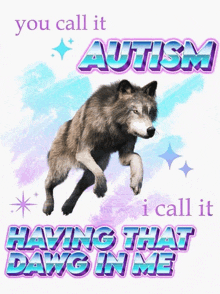 a picture of a wolf with the words " you call it autism i call it having that dawg in me " below it