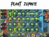 Plants Vs Zombies Peashooter GIF - Plants Vs Zombies Peashooter Zomnie GIFs
