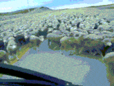 a large herd of sheep are walking down the road