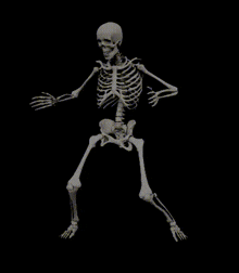 Skeleton Dance Skeleton Dancing GIF - Skeleton Dance Skeleton Skeleton Dancing GIFs