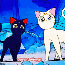 Cat Moon Sailor Moon GIF - Cat Moon Sailor Moon Anime GIFs