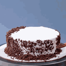 a chocolate cake with white frosting and chocolate chips on it