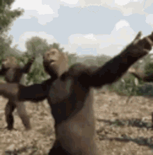 Apes Dance GIF - Apes Dance Moves GIFs