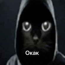a black cat wearing a hooded jacket with the word okak on the bottom